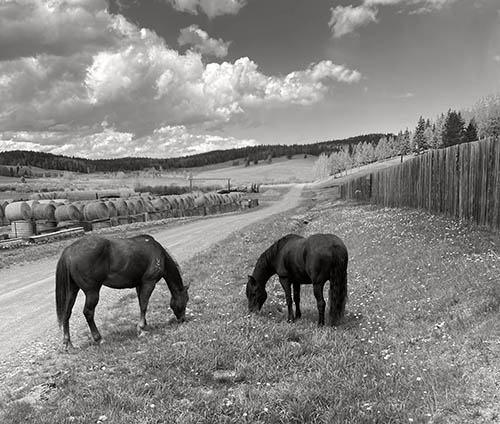 Griffin Valley Ranch