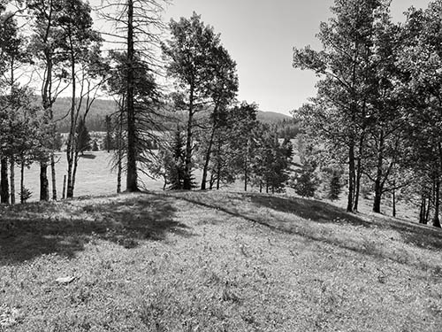 Griffin Valley Ranch