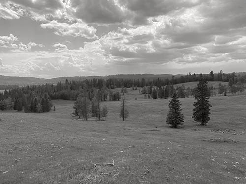 Griffin Valley Ranch