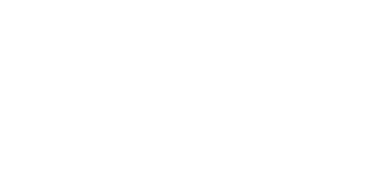 Joe Pickett