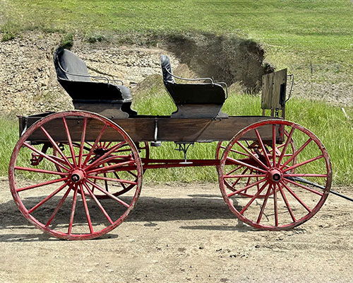 Buck Board Wagon